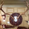 New Additions & Updates: New Panel for Elk & New angling/shooting Lodges ‘The Heritage Stag’ with antlers