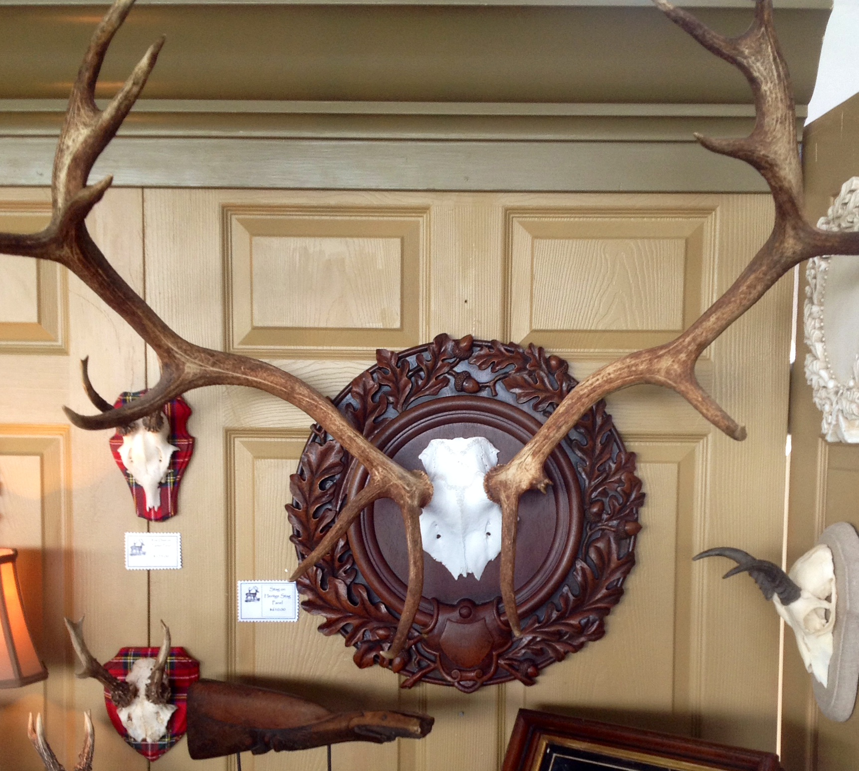 ‘The Heritage Stag’ with antlers