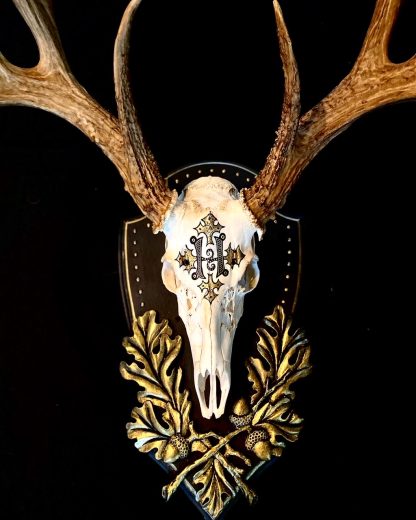 gold leaf & hand painted mono white tail by Heritage Game Mounts