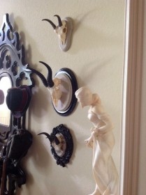 African Antler Display by Heritage Game Mounts