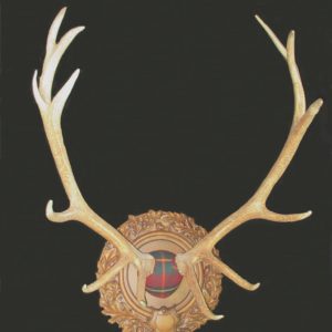 Tartan Elk Antlers