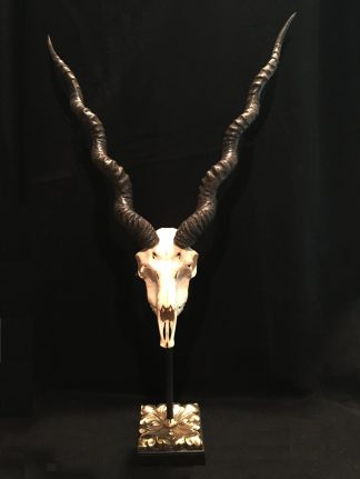 Governor's Vintage Bronze Stand for european mounts.