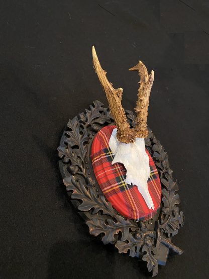 royal stewart roe deer