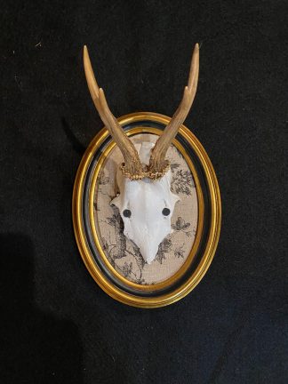 Toile and Gold Roe Deer