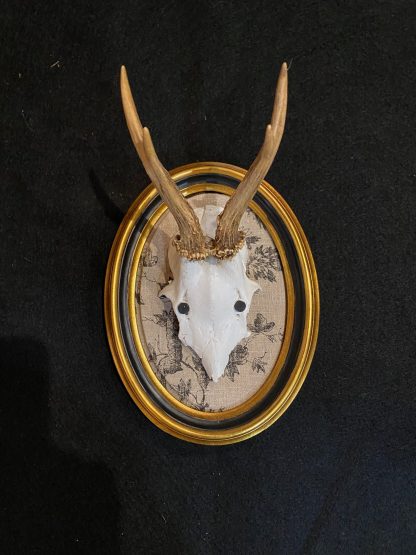 Toile and Gold Roe Deer