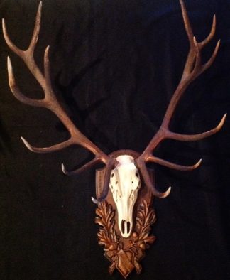 Monarch of the Glen, European Elk Panel by Heritage Game Mounts