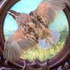 Quail on hand painted Heritage Game Mounts panel