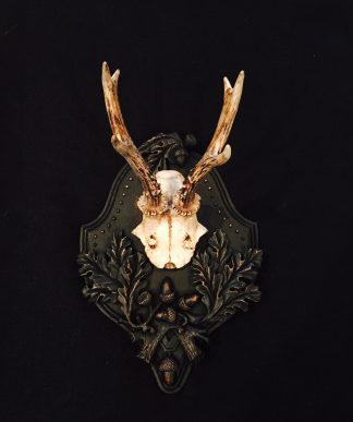 Old English Style Roe Deer