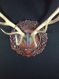 Tartan Stag by Heritage Game Mounts