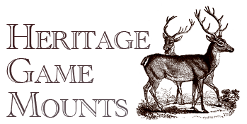 Heritage Game Mounts