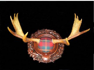 handsome moose mounted in Ralph Lauren plaid and surrounded by oak leaves and acorns